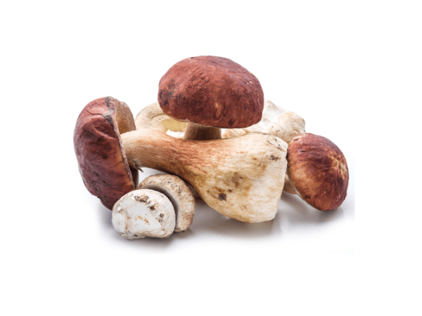 HONGO PORCINI congelado